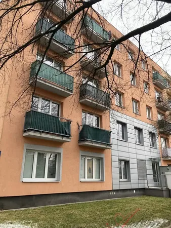 Хол; дървен под, естествена светлина, модерен стил