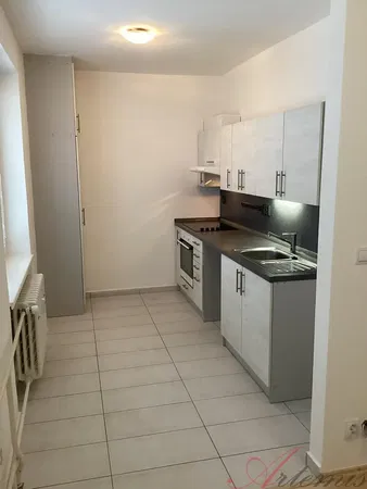 Хол; дървен под, естествена светлина, модерен стил