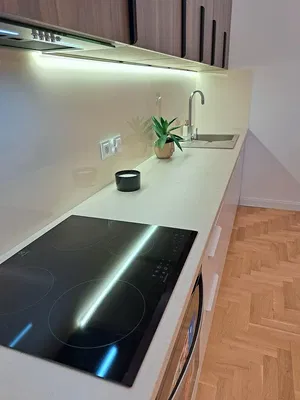 Kuchnia; sprzęt kuchenny, podłoga drewniana, światło dzienne, styl nowoczesny