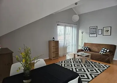 Küche; küchengeräte, holzboden, tageslicht, moderner stil