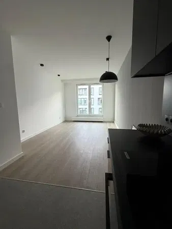 Kuhinja; kućanski aparati, drveni pod, prirodna svjetlost, moderan stil