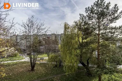 Kuhinja; kućanski aparati, drveni pod, prirodna svjetlost, moderan stil