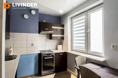 Kuchnia; sprzęt kuchenny, podłoga drewniana, światło dzienne, styl nowoczesny