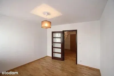 Mutfak; mutfak aletleri, ahşap zemin, doğal ışık, modern stil