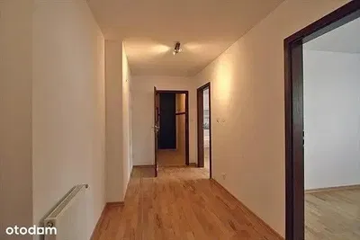 Mutfak; mutfak aletleri, ahşap zemin, doğal ışık, modern stil