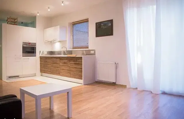 Kuchnia; sprzęt kuchenny, podłoga drewniana, światło dzienne, styl nowoczesny