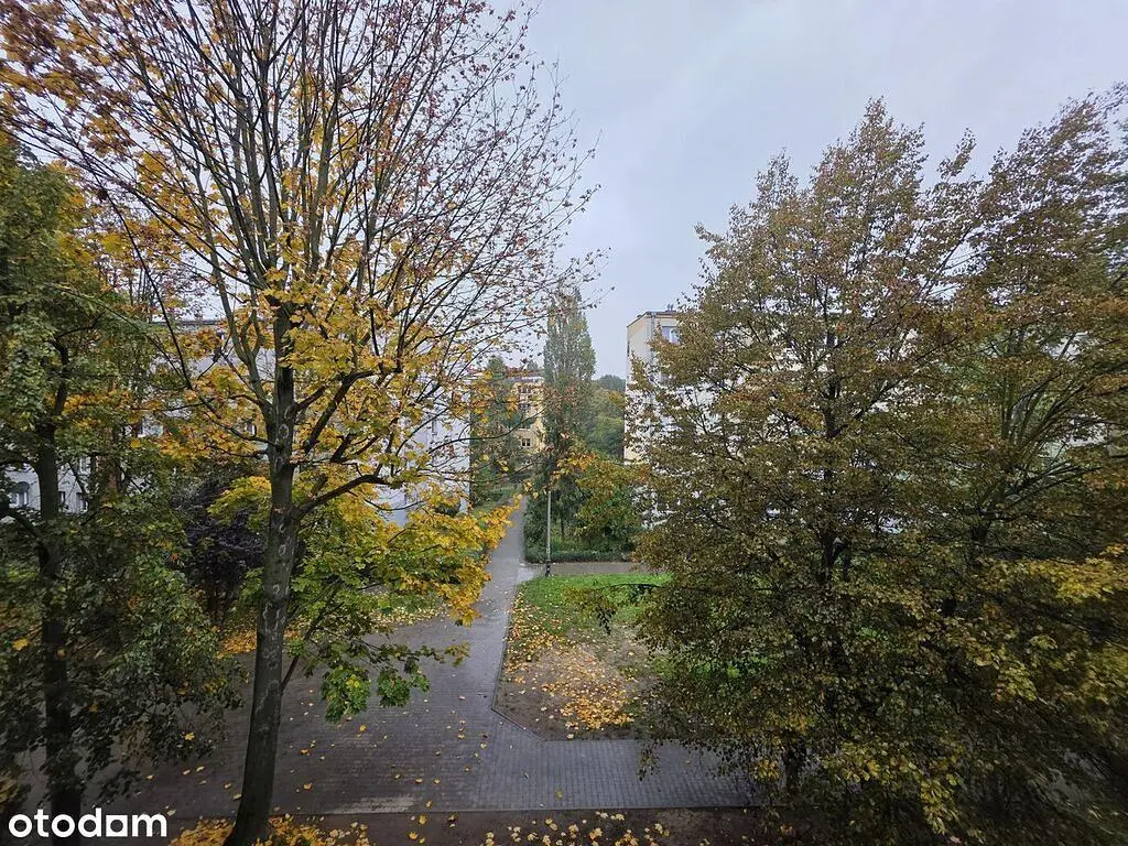 Cozinha; eletrodomésticos, chão de madeira, luz natural, estilo moderno