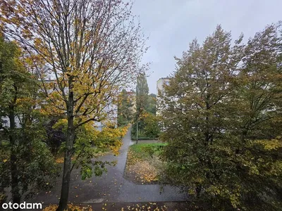 Cozinha; eletrodomésticos, chão de madeira, luz natural, estilo moderno