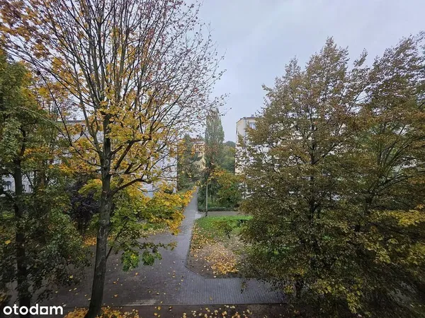 Cozinha; eletrodomésticos, chão de madeira, luz natural, estilo moderno