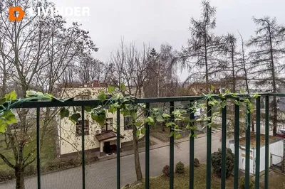 Kuchnia; sprzęt kuchenny, podłoga drewniana, światło dzienne, styl nowoczesny