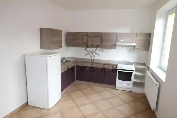 Kitchen; kitchen appliances, wood floor, natural light, modern style