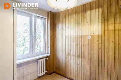 Kuchnia; sprzęt kuchenny, podłoga drewniana, światło dzienne, styl nowoczesny