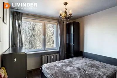 Mutfak; mutfak aletleri, ahşap zemin, doğal ışık, modern stil