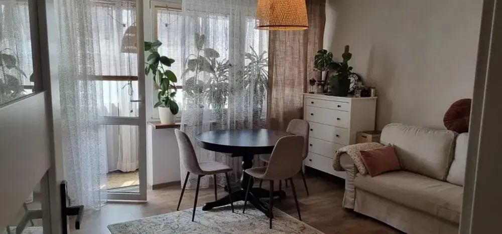 Kuchyně; kuchyňské spotřebiče, dřevěná podlaha, přirozené světlo, moderní styl