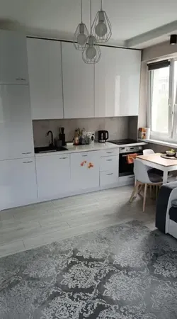 Kuchyně; kuchyňské spotřebiče, dřevěná podlaha, přirozené světlo, moderní styl