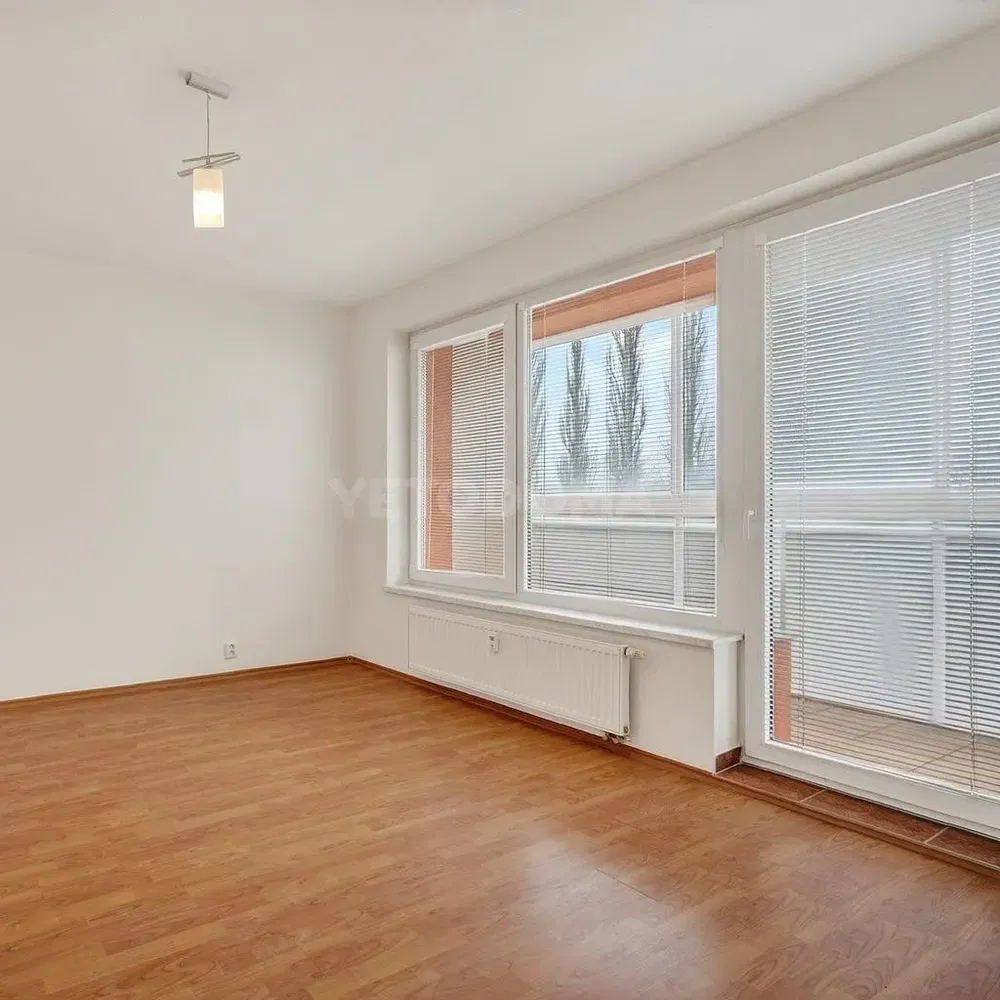 Хол; дървен под, естествена светлина, модерен стил