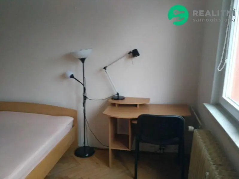 Salon; parquet, lumière naturelle, style moderne