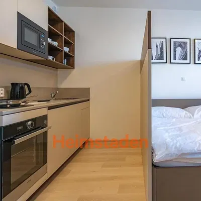 Kitchen; kitchen appliances, wood floor, natural light, modern style