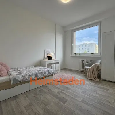 Cuisine; électroménager, parquet, lumière naturelle, style moderne