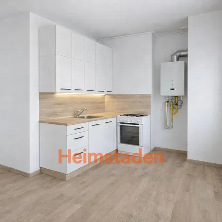 Küche; küchengeräte, holzboden, tageslicht, moderner stil