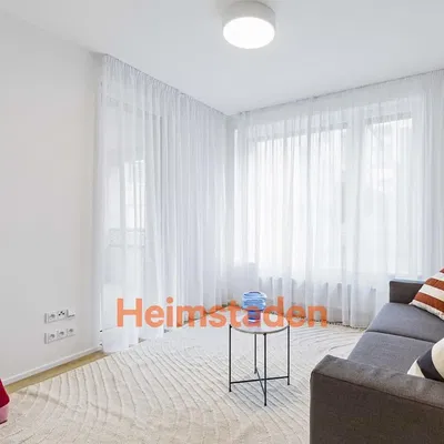 Хол; дървен под, естествена светлина, модерен стил