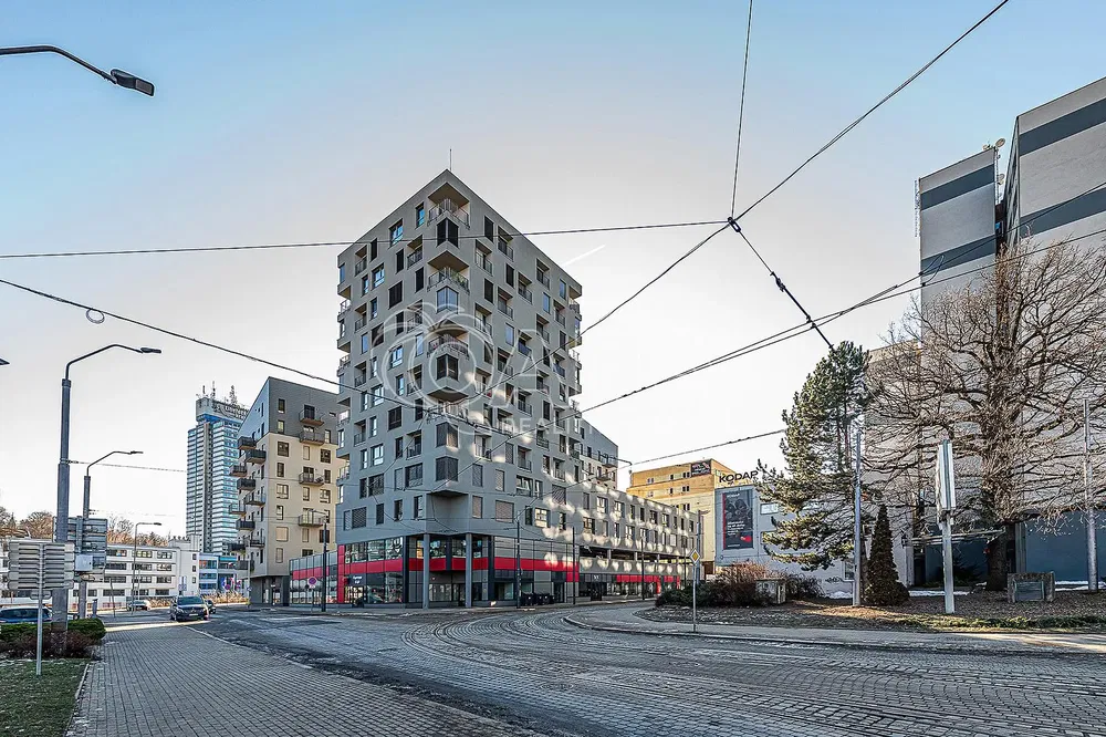 Хол; естествена светлина, дървен под, модерен стил