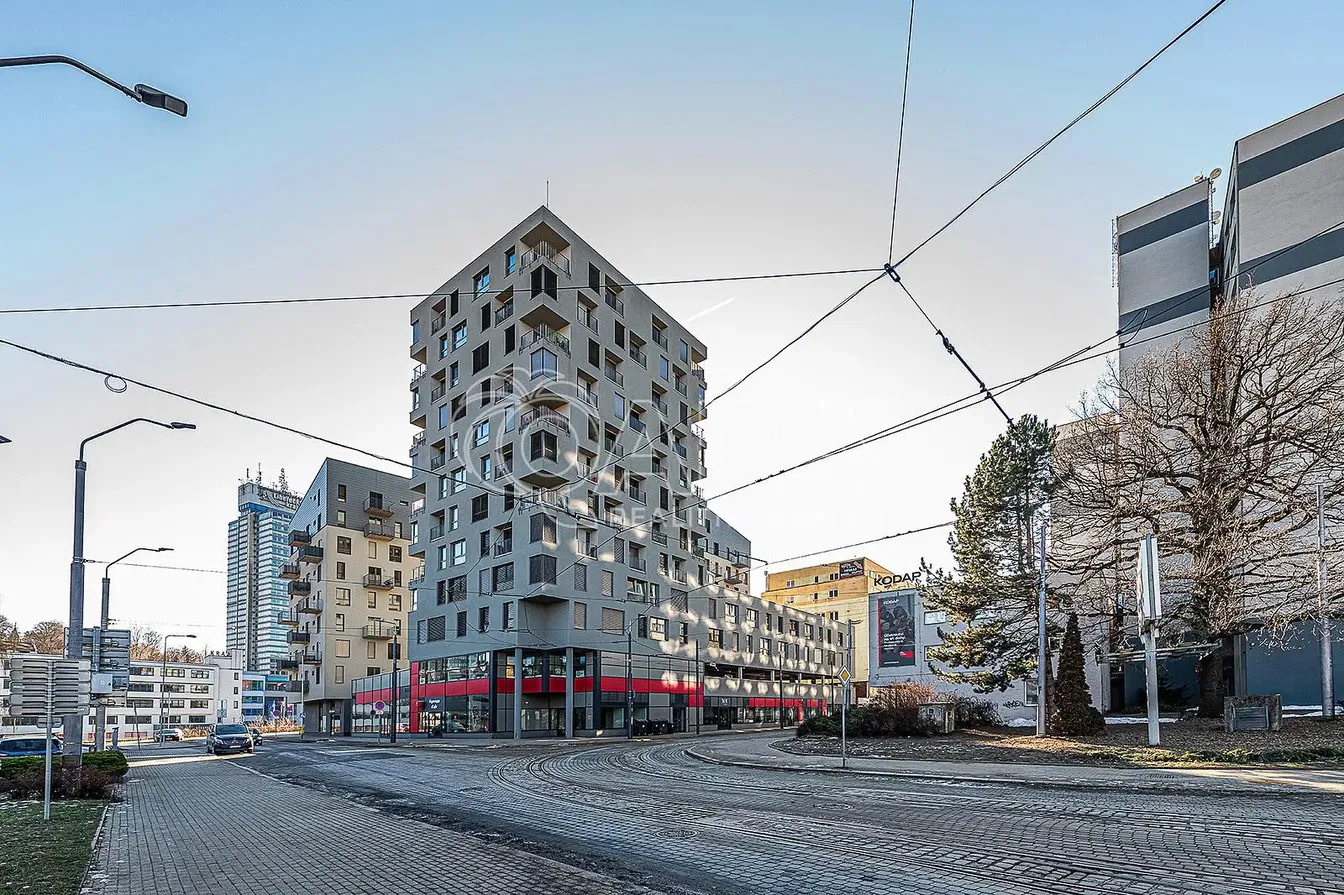 Хол; естествена светлина, дървен под, модерен стил