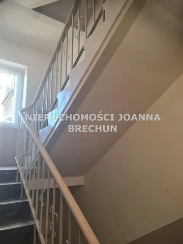 Cucina; elettrodomestici, pavimento in legno, luce naturale, stile moderno