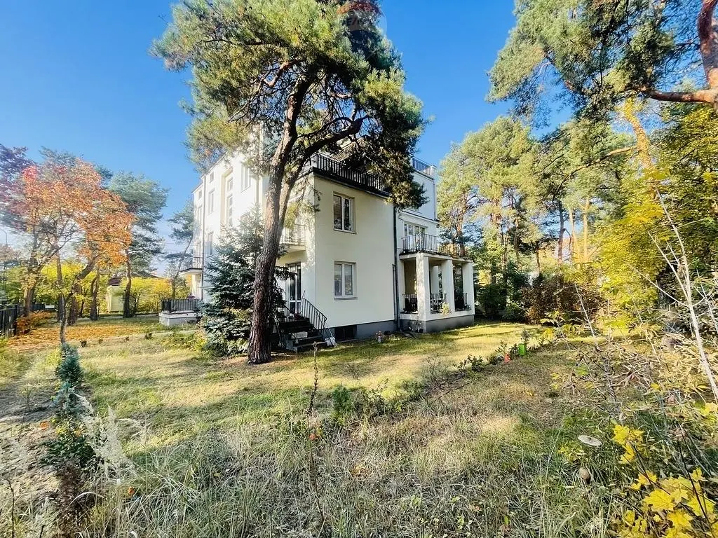 Дневна соба; дрвени под, природно светло, модерни стил