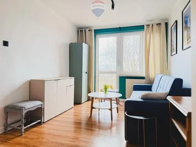 Kuchyně; kuchyňské spotřebiče, dřevěná podlaha, přirozené světlo, moderní styl