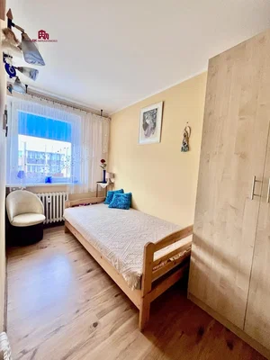 Küche; küchengeräte, holzboden, tageslicht, moderner stil