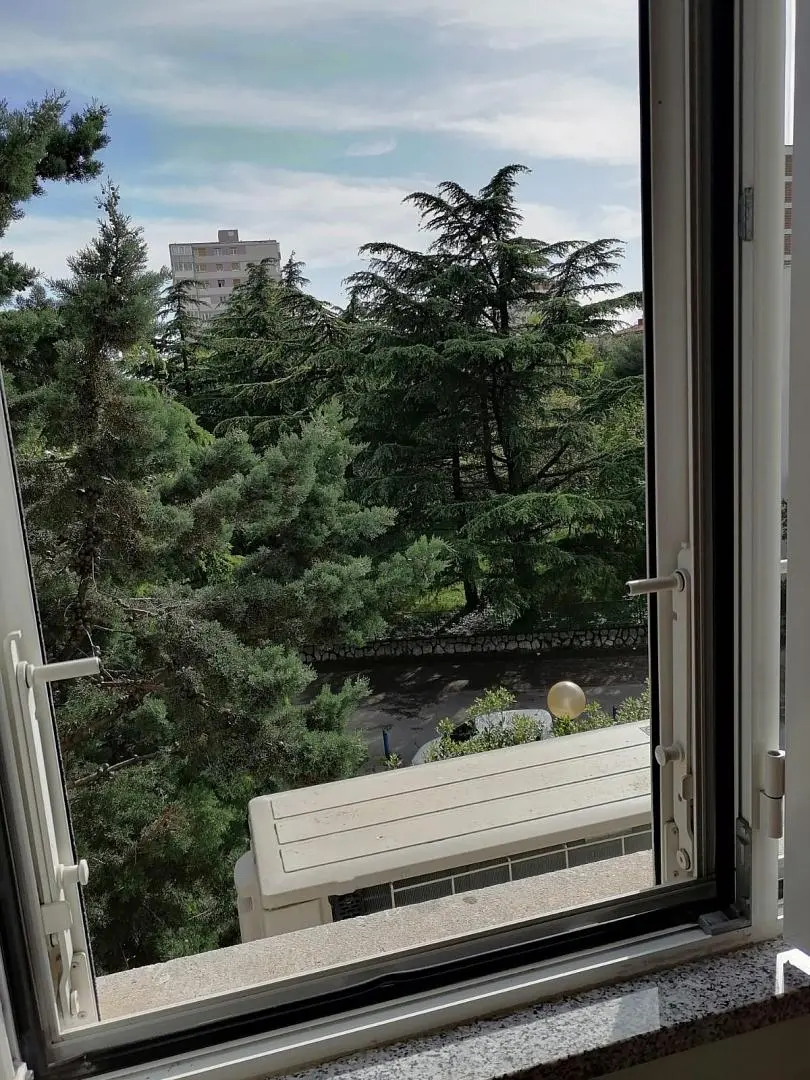 Küche; küchengeräte, holzboden, tageslicht, moderner stil