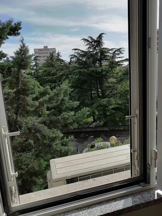 Küche; küchengeräte, holzboden, tageslicht, moderner stil