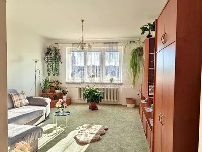 Хол; дървен под, естествена светлина, модерен стил, високи тавани