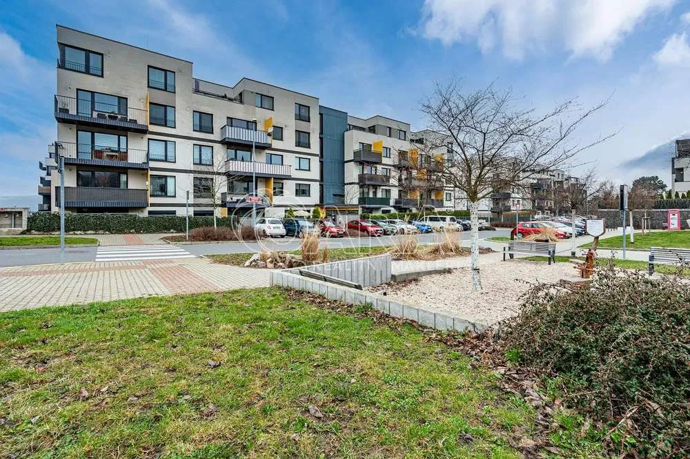 Хол; дървен под, естествена светлина, модерен стил, високи тавани