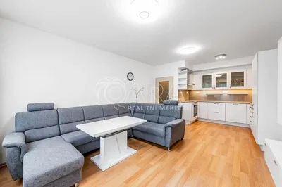 Хол; дървен под, естествена светлина, модерен стил