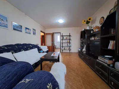 Salon; parquet, lumière naturelle, style moderne