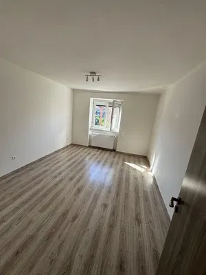 Küche; küchengeräte, holzboden, tageslicht, moderner stil