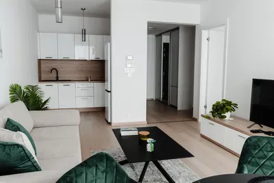 Salon; parquet, lumière naturelle, style moderne