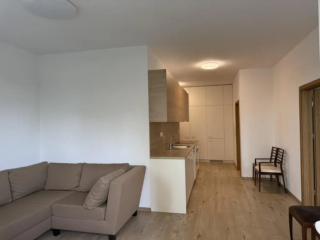 Wohnzimmer; holzboden, tageslicht, moderner stil