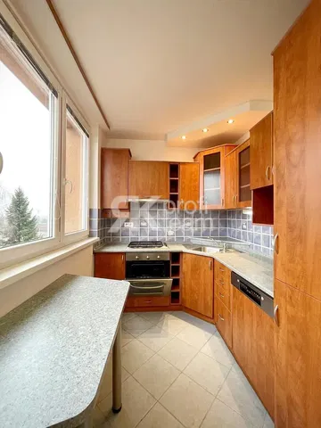 Kitchen; kitchen appliances, wood floor, natural light, modern style