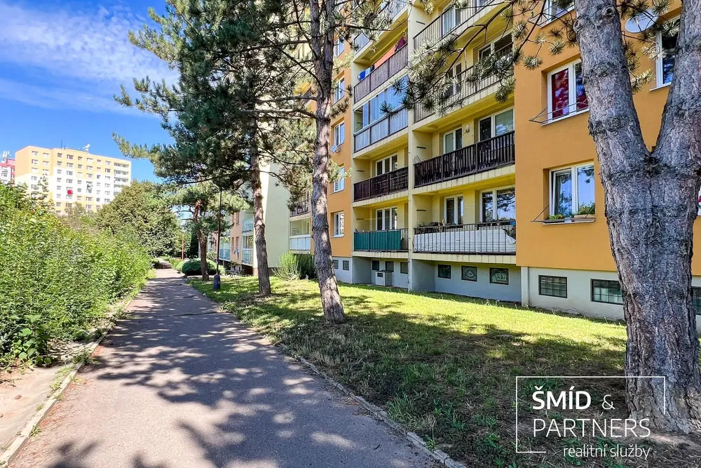 Living room; wood floor, natural light, modern style