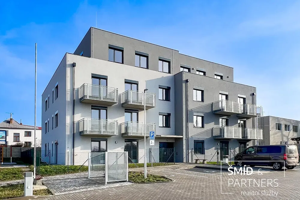 Living room; wood floor, natural light, modern style