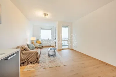 Кухня; кухненски уреди, дървен под, естествена светлина, модерен стил