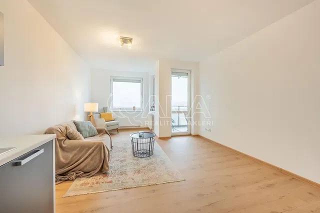 Кухня; кухненски уреди, дървен под, естествена светлина, модерен стил