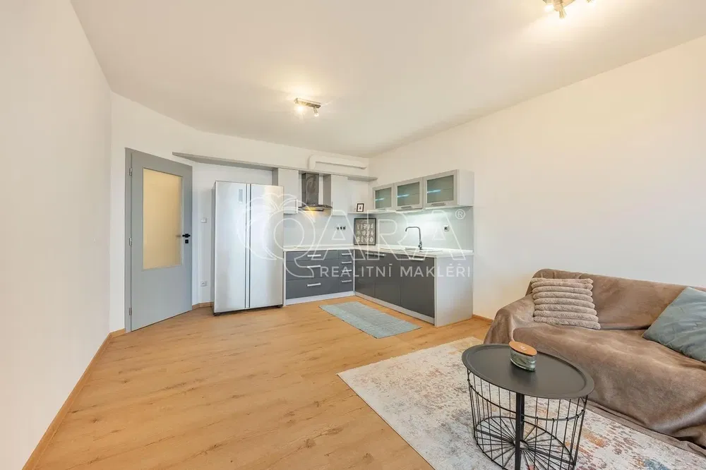 Хол; дървен под, естествена светлина, модерен стил