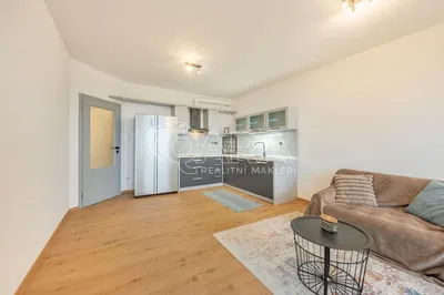 Хол; дървен под, естествена светлина, модерен стил