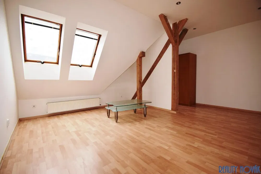 Living room; wood floor, natural light, modern style