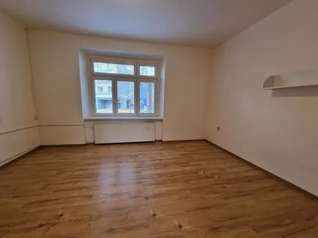 Хол; дървен под, естествена светлина, модерен стил