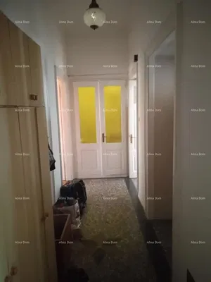 Cuisine; électroménager, parquet, lumière naturelle, style moderne